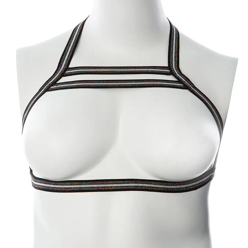 Gender Fluid Silver Lining Harness-Rainbow Glitter L-XXL-Boxed My Store