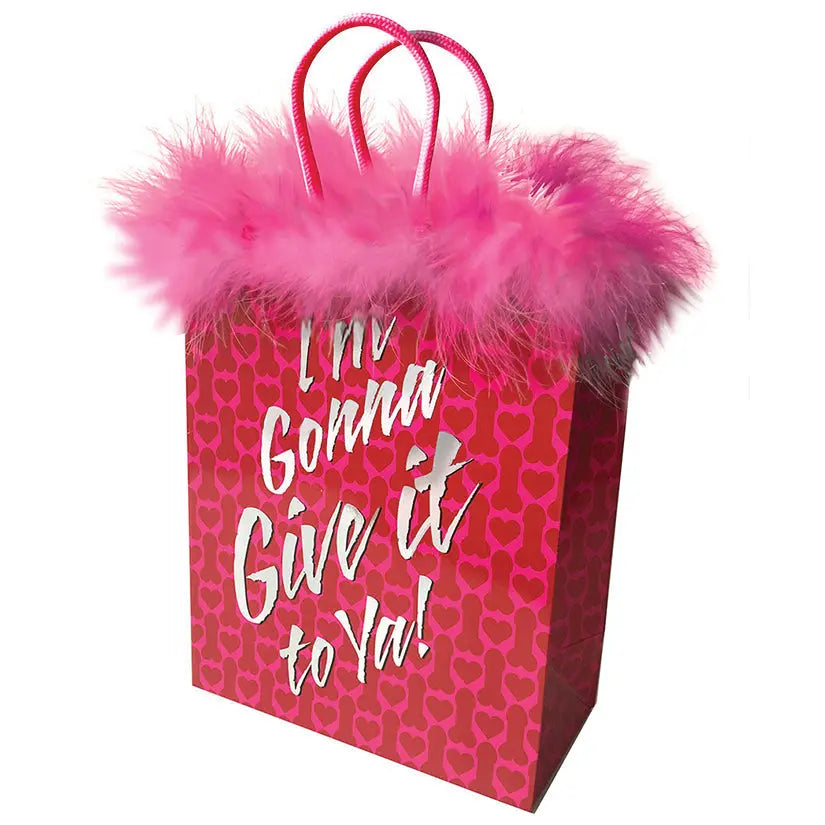 Gift Bag I'm Gonna Give It To Ya My Store