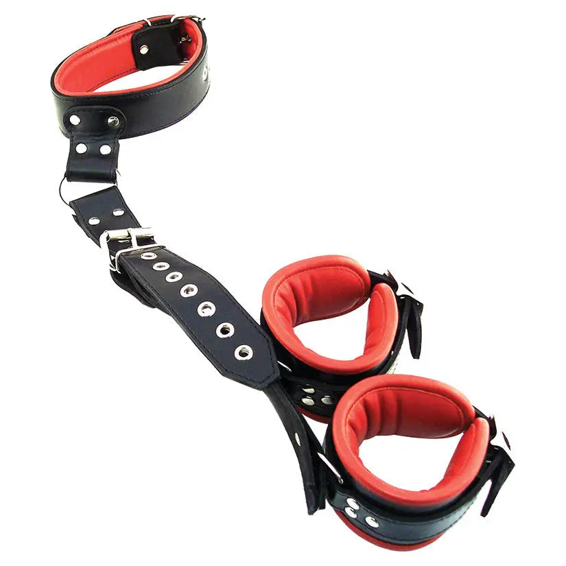 Rouge Group Leather Neck to Wrist Restraint with Padded Cuffs-Black/Red My Store