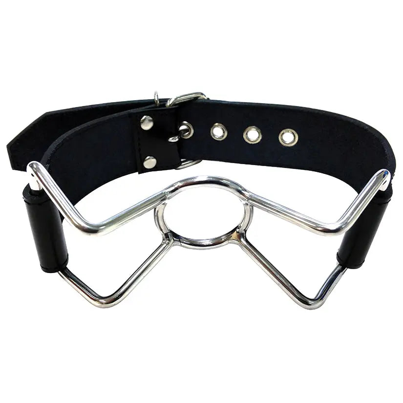 Rouge Group Leather Spider Gag My Store