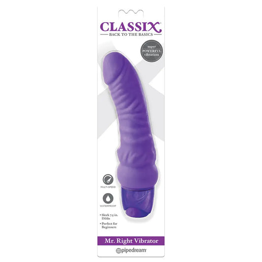 Classix Mr Right Vibrator-Purple My Store